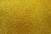 Acty Resin (ion exchange resin)