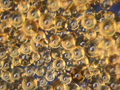 Cation exchange resin